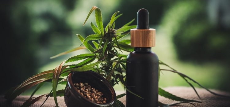 Pourquoi se servir de la fleur de cbd ?