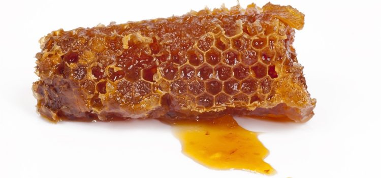 Les bienfaits de la propolis en hiver